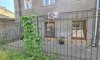превью 4