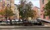превью 10