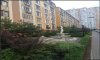 превью 1