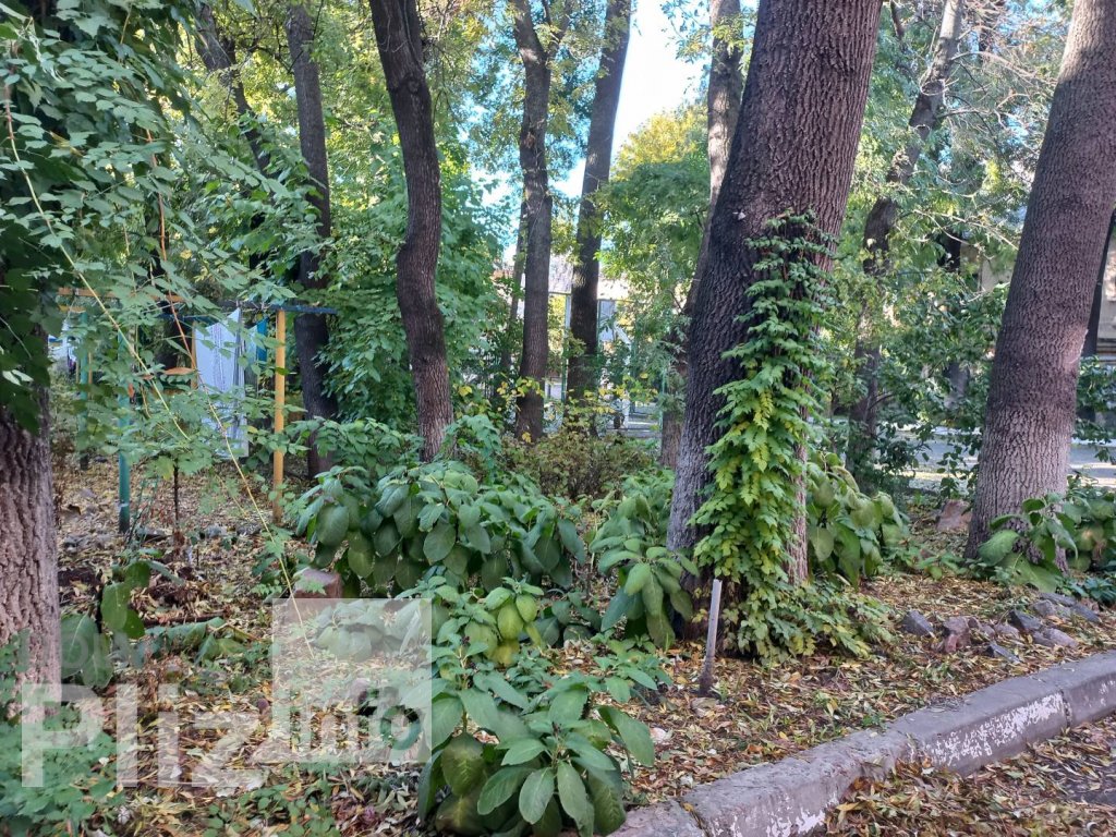 Продам 2-комнатную квартиру 37 500$(727 за м2) id 5242421 Dom.pliz.info изображение 12