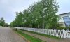 превью 32