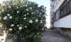 превью 1