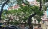 превью 1