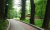 превью 7