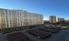 превью 1