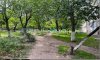 превью 28