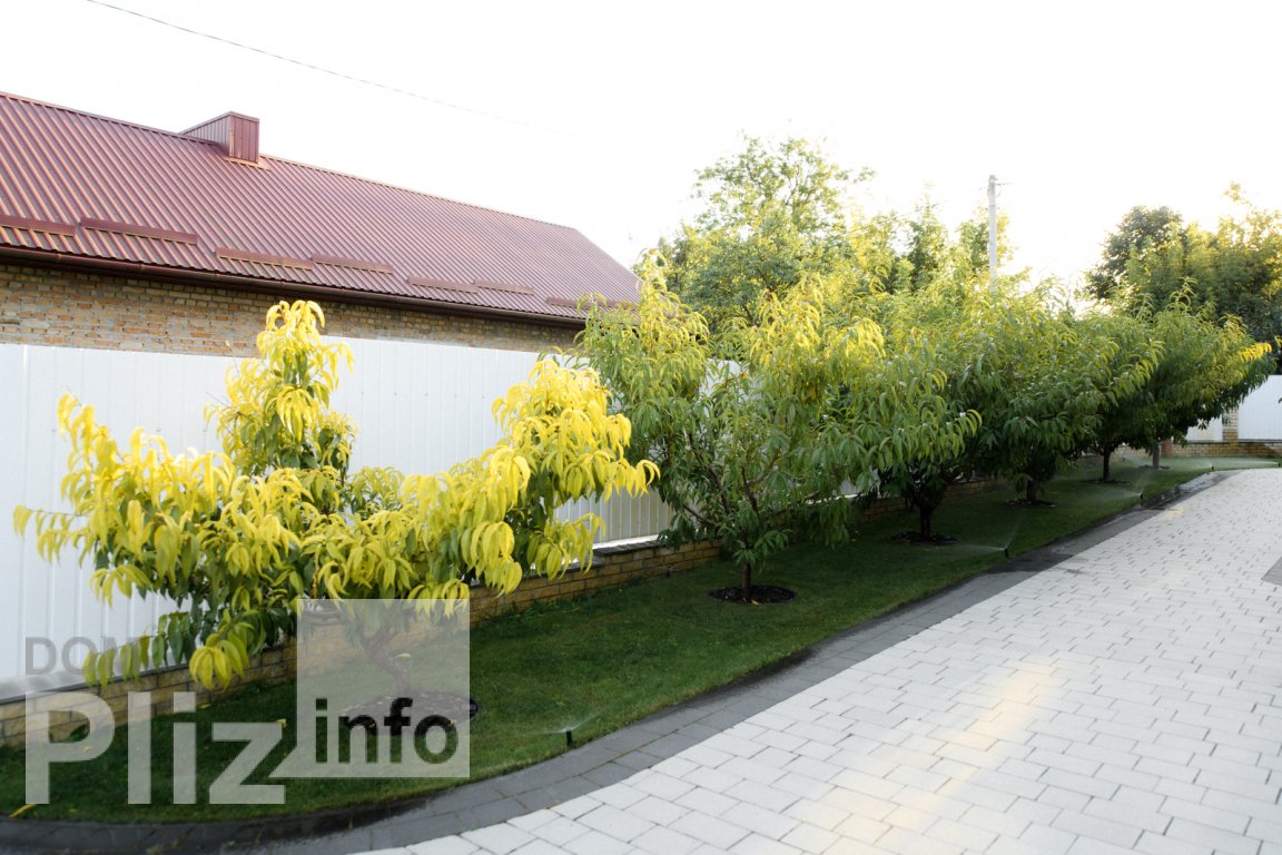 Продається будинок 399 000$(1 355 за м2) id 5239167 Dom.pliz.info изображение 4