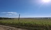 превью 5