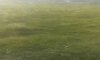 превью 1