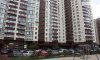 превью 5