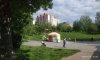 превью 5