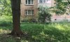 превью 5