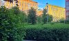 превью 9