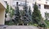 превью 6