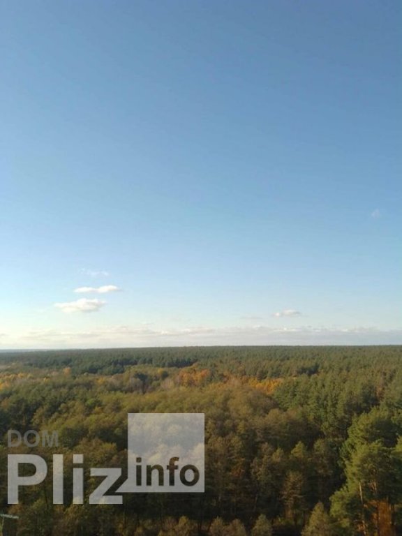 Сдам долгосрочно 1-комнатную квартиру 297$ id 5242580 Dom.pliz.info изображение 8