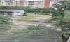 превью 11