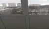 превью 11