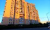 превью 11