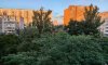 превью 9