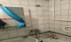 превью 9