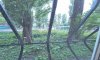 превью 15