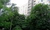 превью 8