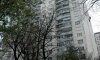 превью 11