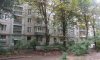 превью 15