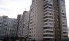 превью 9