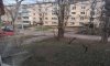 превью 7