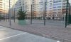 превью 7
