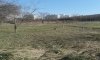 превью 5