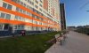 превью 13