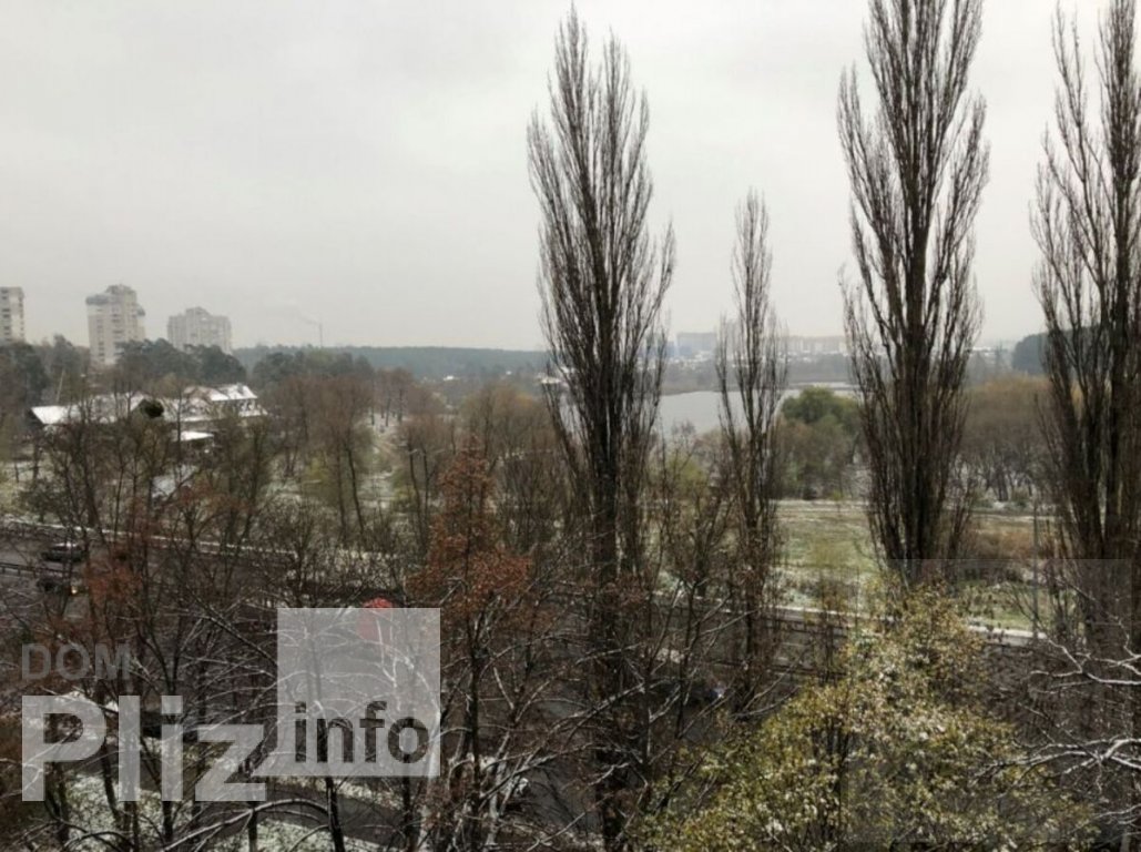 Продам 1-комнатную квартиру 43 000$(1 303 за м2) id 5242615 Dom.pliz.info изображение 6