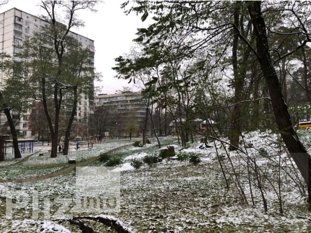 Продам 1-комнатную квартиру 43 000$(1 303 за м2) id 5242615 Dom.pliz.info изображение 8