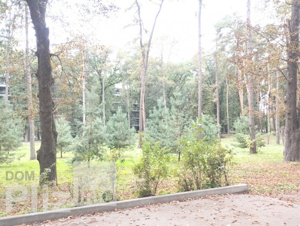 Продам 5-комнатную квартиру 600 000$(1 875 за м2) id 5242641 Dom.pliz.info изображение 45
