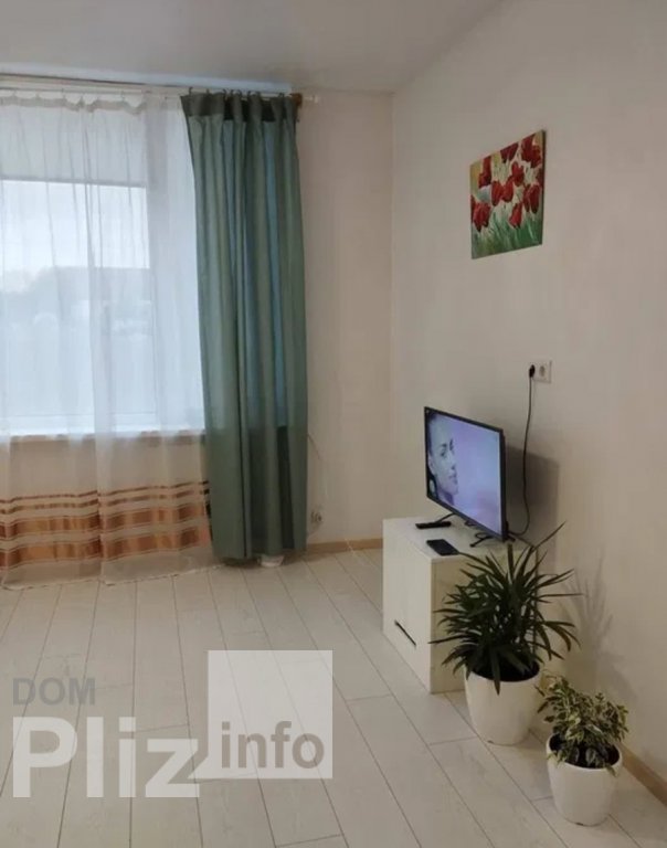 Продам 1-комнатную квартиру 38 000$(1 226 за м2) id 5242667 Dom.pliz.info изображение 5