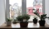 превью 5
