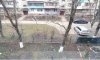 превью 11