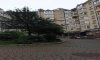 превью 8
