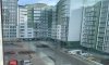 превью 11