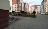 превью 4