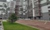 превью 3