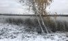 превью 4