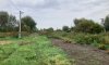 превью 2