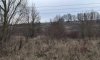 превью 3