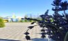 превью 1