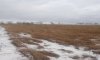 превью 4