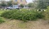 превью 7