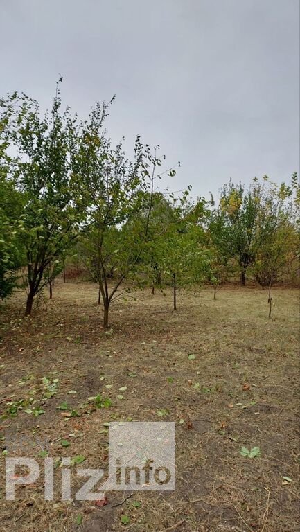 Продам дачу 6 500$(144 за м2) id 5242541 Dom.pliz.info изображение 7